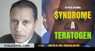 Fetal Alcohol Syndrome: Understanding the Teratogenic Effects of Alcohol