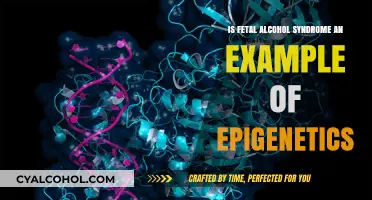 Alcohol and Epigenetics: FASD's Molecular Origins