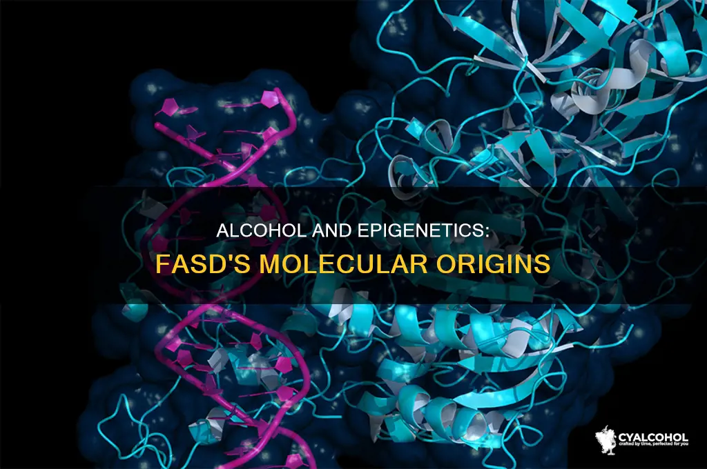is fetal alcohol syndrome an example of epigenetics