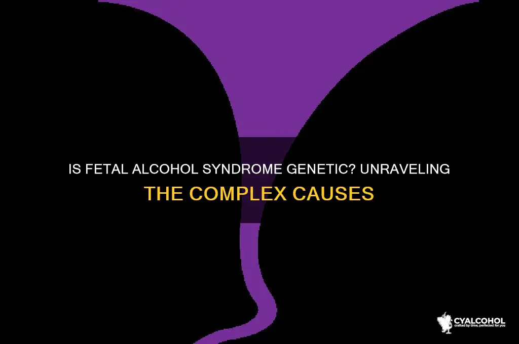 is fetal alcohol syndrome genetic