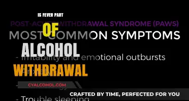 Fever and Alcohol Withdrawal: Understanding the Symptoms and Risks