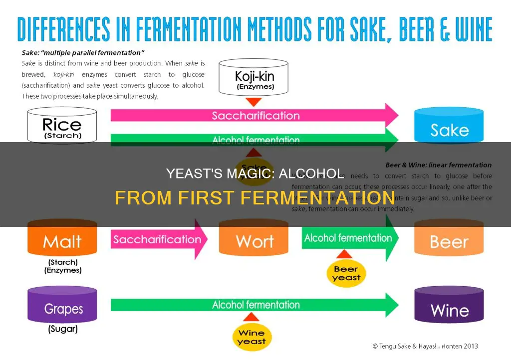 is first fermented to generate alcohol by adding yeast