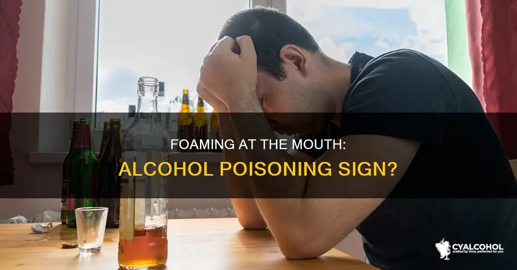 is foaming at the mouth a sign of alcohol poisoning