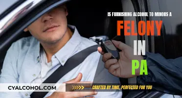 Furnishing Alcohol to Minors: Felony in Pennsylvania?