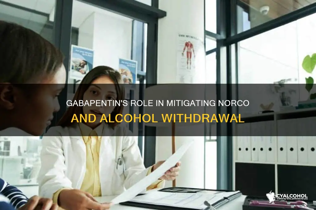 is gabapentin for withdrawals from norco and alcohol