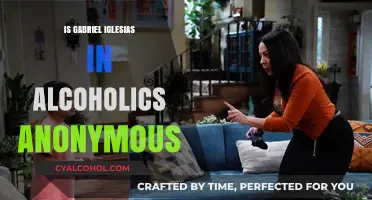 Gabriel Iglesias' Sobriety Journey: AA Involvement and Personal Transformation