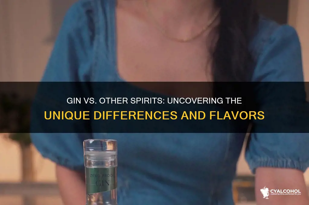 is gin different than other alcohol