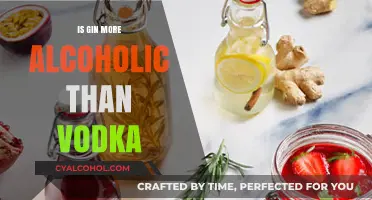 Gin vs. Vodka: Which Spirit Packs a Stronger Alcohol Punch?