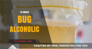 Is Ginger Bug Alcoholic? Unraveling the Fermented Mystery