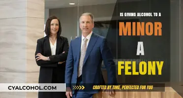 Is Giving Alcohol to a Minor a Felony? Legal Consequences Explained
