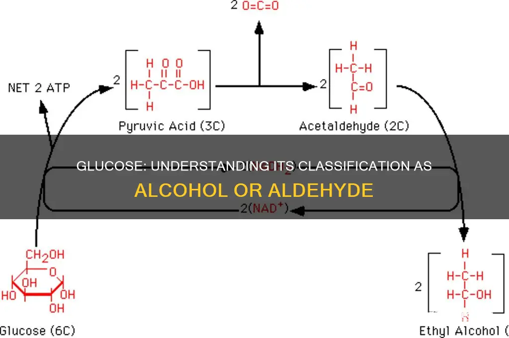 is glucose an alcohol or aldehyde