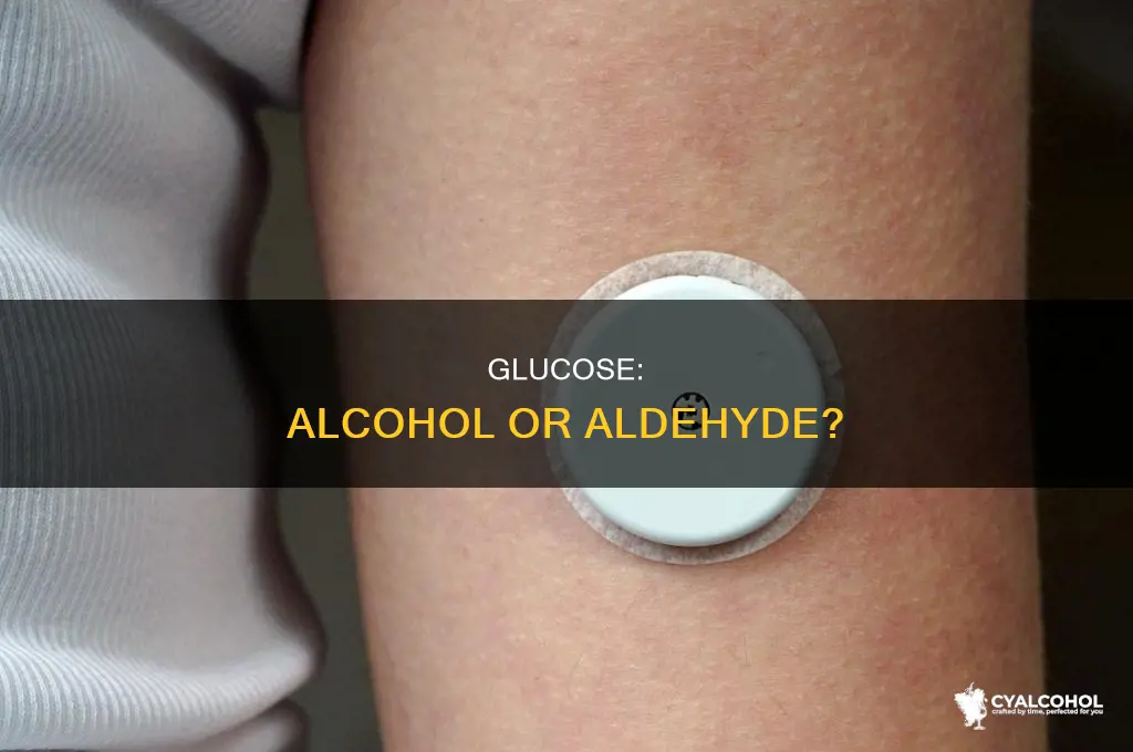 is glucose classified as an alcohol or aldehyde