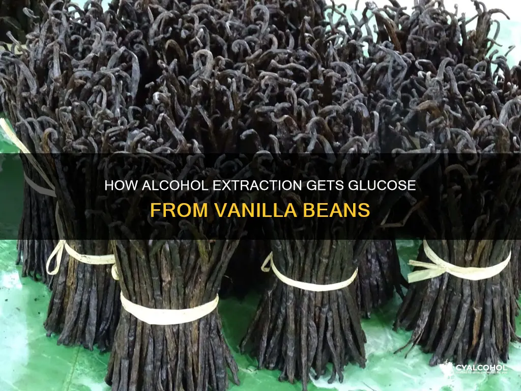 is glucose extracted from vanilla beans during alcohol extraction