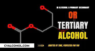 Glycerol's Alcohol Classification: Primary, Secondary, or Tertiary?