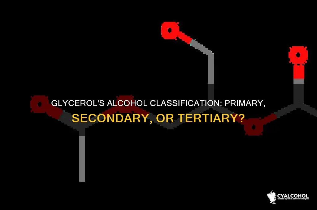 is glycerol a primary secondary or tertiary alcohol
