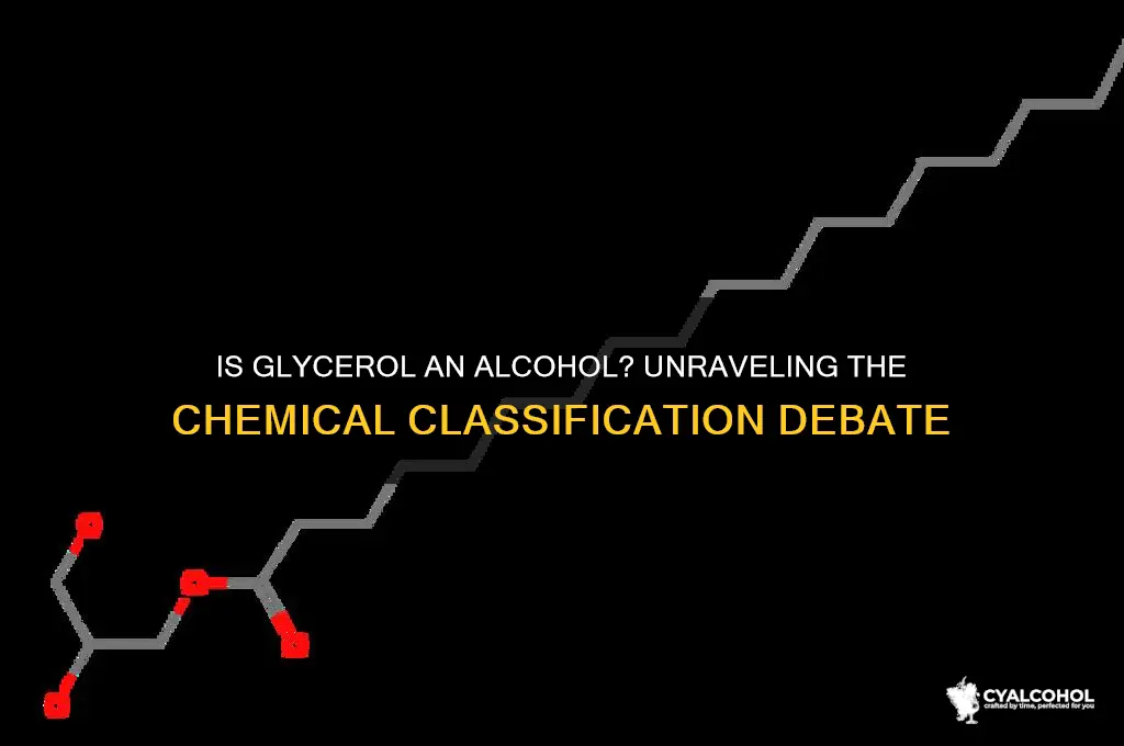 is glycerol a type of alcohol