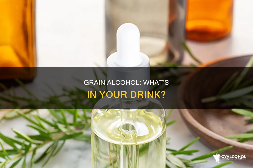 is grain alcohol a compound element or mixture