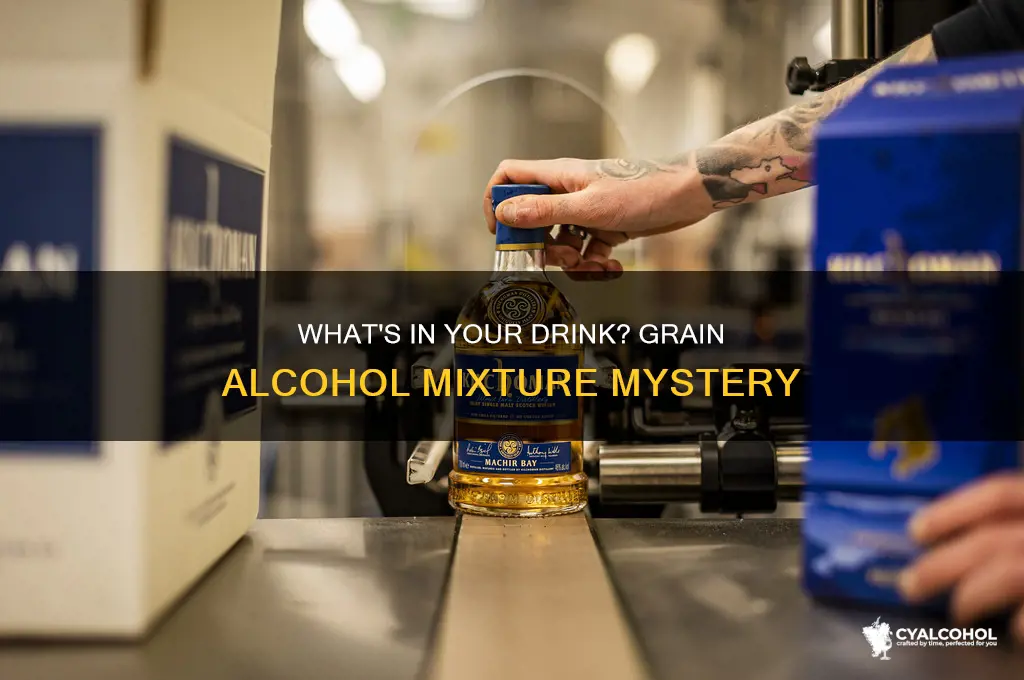 is grain alcohol a homogeneous or heterogeneous mixture