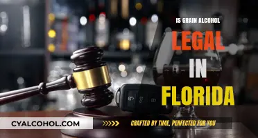 Is Grain Alcohol Legal in Florida? Understanding the Laws and Regulations