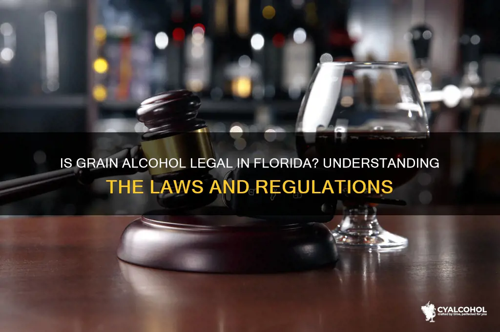 is grain alcohol legal in florida