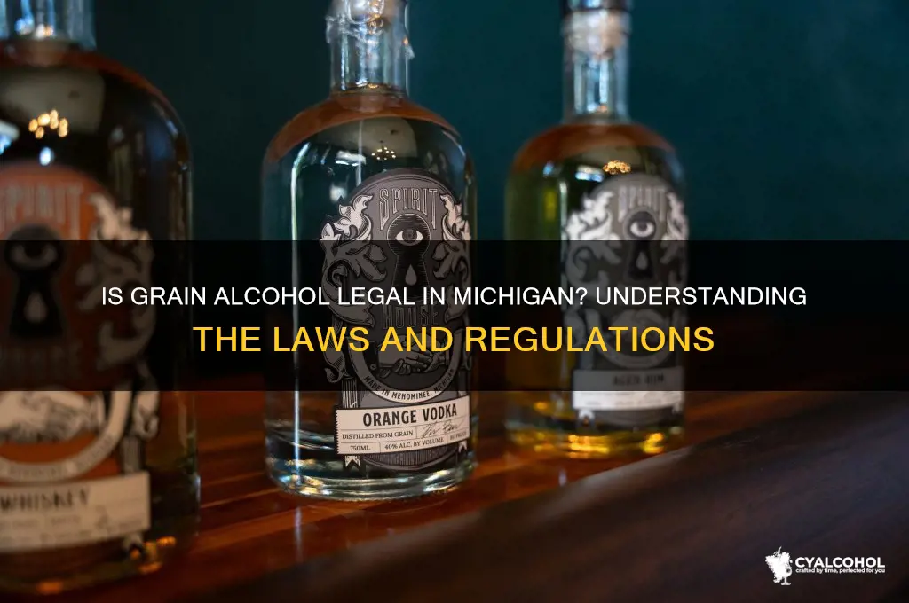 is grain alcohol legal in michigan