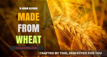 Is Grain Alcohol Made from Wheat? Uncovering the Truth