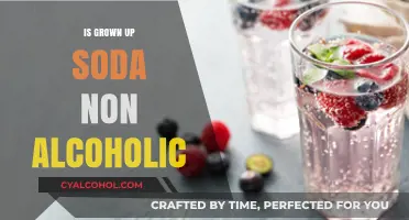 Is Grown-Up Soda Non-Alcoholic? Exploring the Buzz-Free Trend