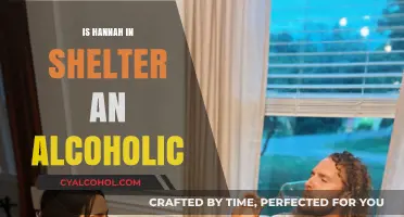 Is Hannah in Shelter Struggling with Alcoholism? Analyzing the Evidence