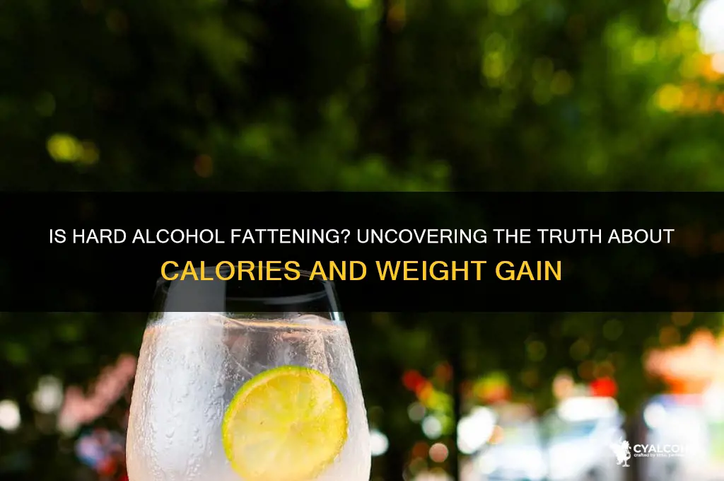 is hard alcohol fattening