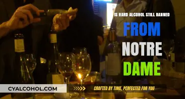 Hard Liquor Ban: Notre Dame's Dry Campus Policy