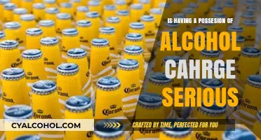Alcohol Possession Charges: Serious or Not?