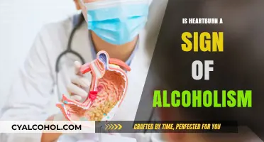 Heartburn and Alcoholism: Unraveling the Connection and Potential Warning Signs