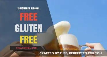 Is Heineken Alcohol-Free Gluten-Free? A Complete Guide for Beer Lovers