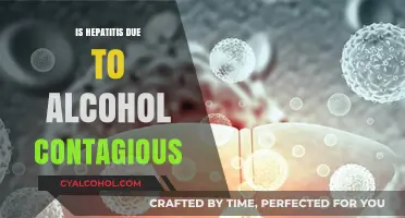 Is Alcohol-Related Hepatitis Contagious? Understanding the Risks and Facts