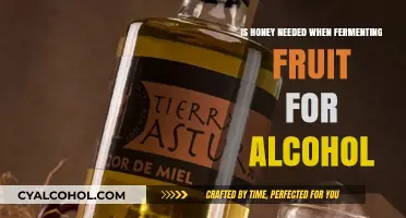 Honey in Fermentation: Fruit Alcohol's Sweet Secret?