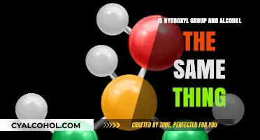 Hydroxyl Groups and Alcohol: What's the Difference?