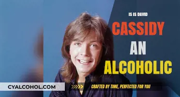 David Cassidy's Battle with Alcoholism: Truth and Struggles Revealed