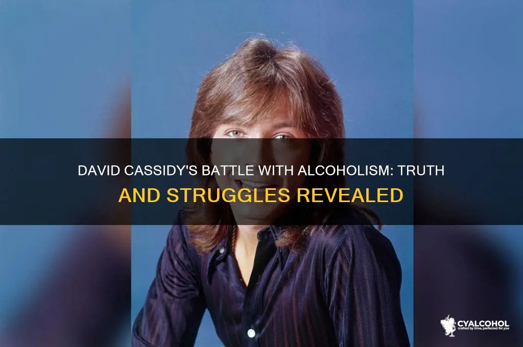 is is david cassidy an alcoholic