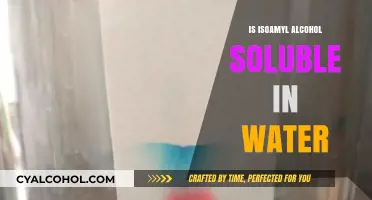Is Isoamyl Alcohol Water-Soluble? Exploring Its Solubility Properties