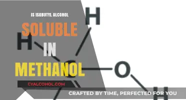 Is Isobutyl Alcohol Soluble in Methanol? Exploring Solubility Dynamics