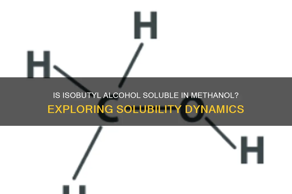 is isobutyl alcohol soluble in methanol