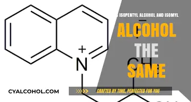 Isopentyl and Isomyl Alcohol: Are They Identical?