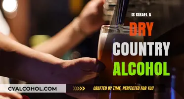 Israel's Alcohol Culture: Debunking the Myth of a Dry Nation