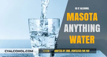 Is Alcohol a Substitute for Water? Debunking Hydration Myths and Facts