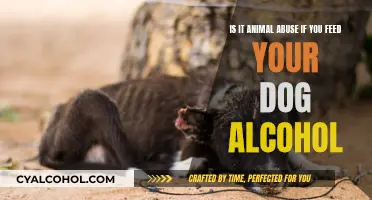 Feeding Alcohol to Dogs: Animal Abuse or Not?
