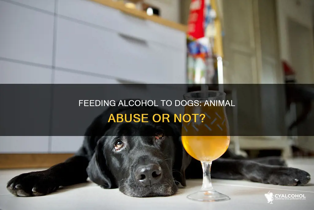 is it animal abuse if you feed your dog alcohol