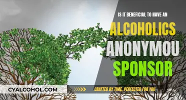 Why AA Sponsors Are Essential for Recovery
