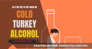 Cutting Back vs. Cold Turkey: Which Alcohol Strategy Wins?