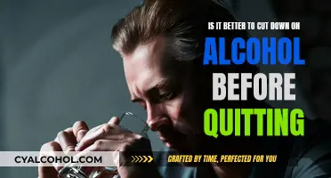 Cutting Down or Quitting Alcohol: Which is Better?
