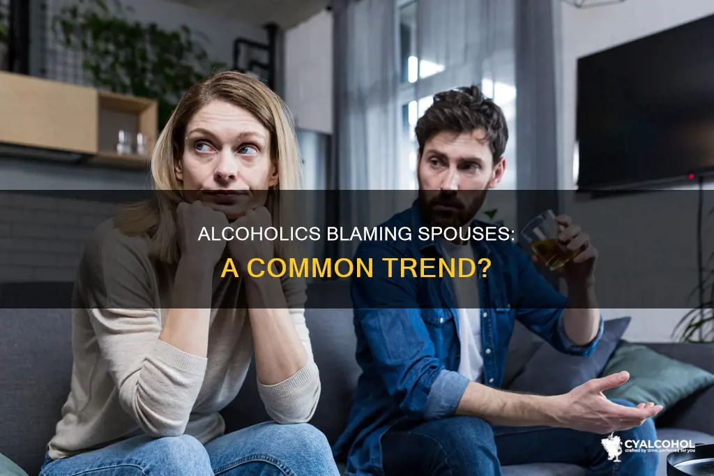 is it common for alcoholics to blame their spouses